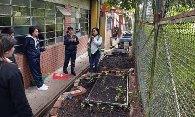 Estudiantes participan en una actividad educativa junto a una huerta escolar con cultivos en crecimiento, ubicada en un espacio exterior de una institución educativa, durante una jornada liderada por el Jardín Botánico de Bogotá.