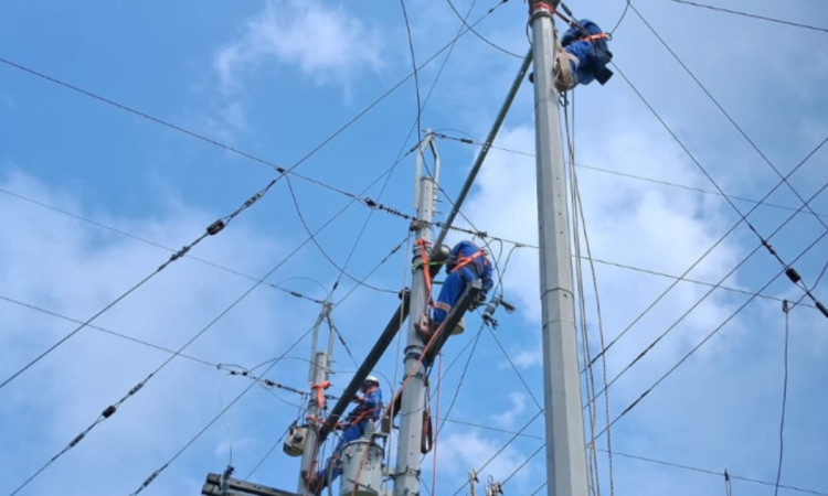 Foto que muestra dos personas con el uniforme de Enel Colombia en un poste de energía