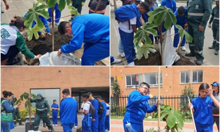 Personas sembrando árboles en Bogotá