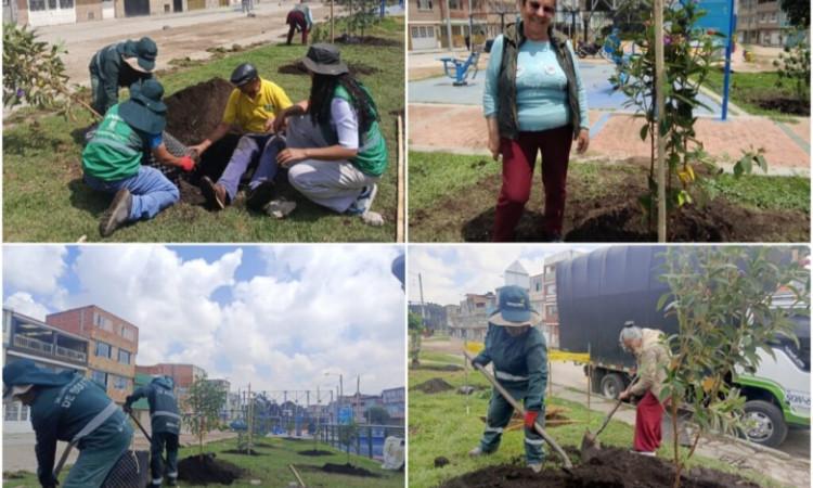 Personas sembrando árboles en Bogotá