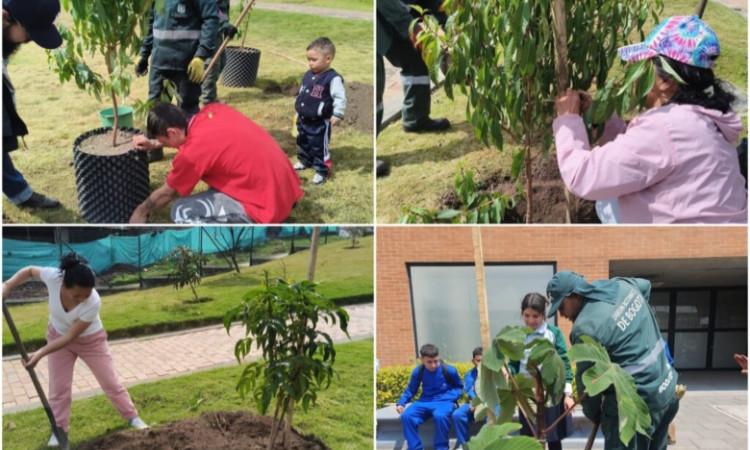 Personas sembrando árboles en Bogotá