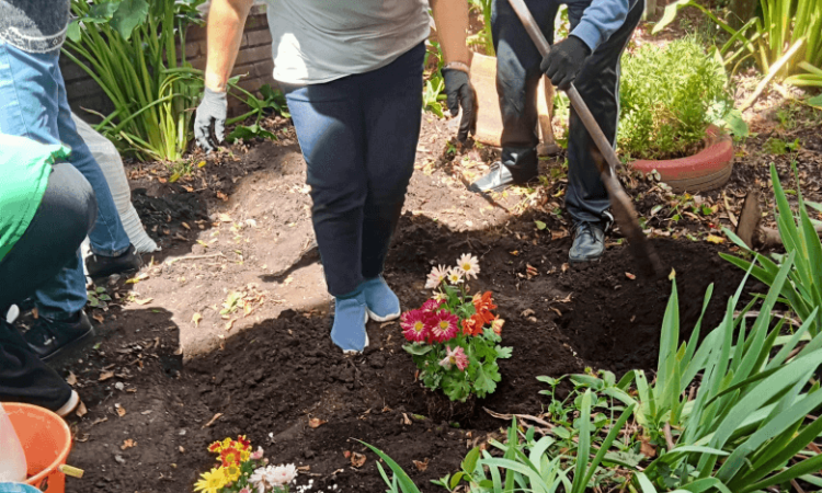 jardín biodiverso creado por personas mayores del barrio La Granja en la localidad de Engativá