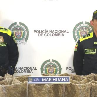 Incautan 12.665 gramos de marihuana escondidos en cajas en El Dorado |  Bogota.gov.co