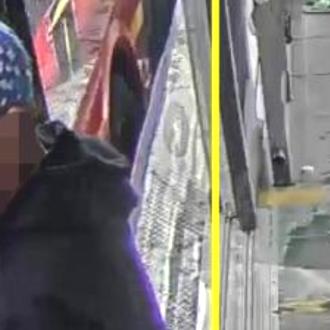 Usuarios de TM identificaron delincuente que hurtó a una adulta mayor