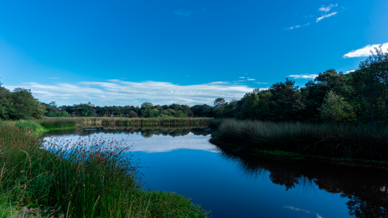 Caminata ecológica por el humedal Santa María del Lago con el IDRD