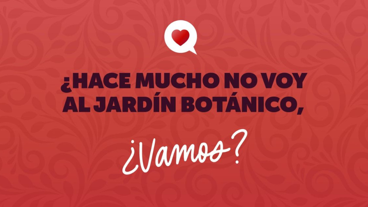 Planes de Amor y Amistad en Bogotá 