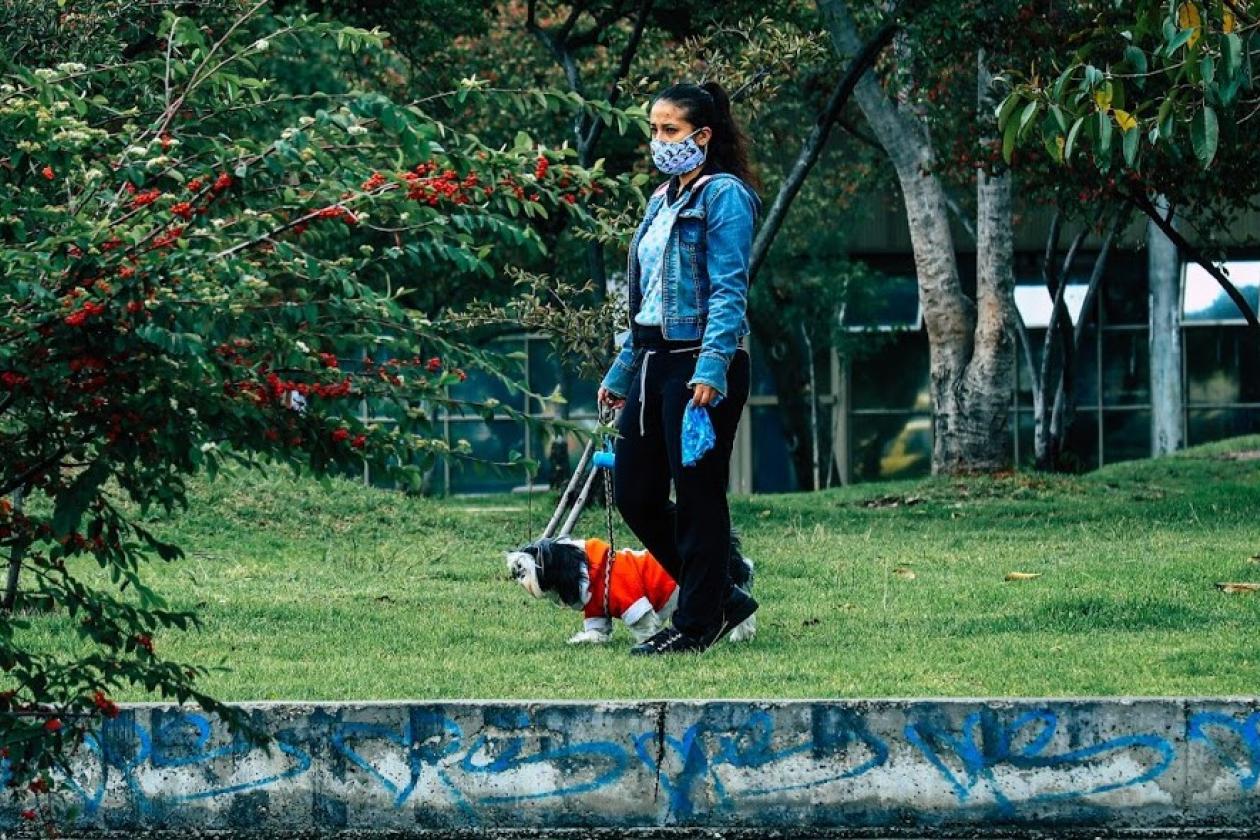 Persona paseando un perro en un parque.