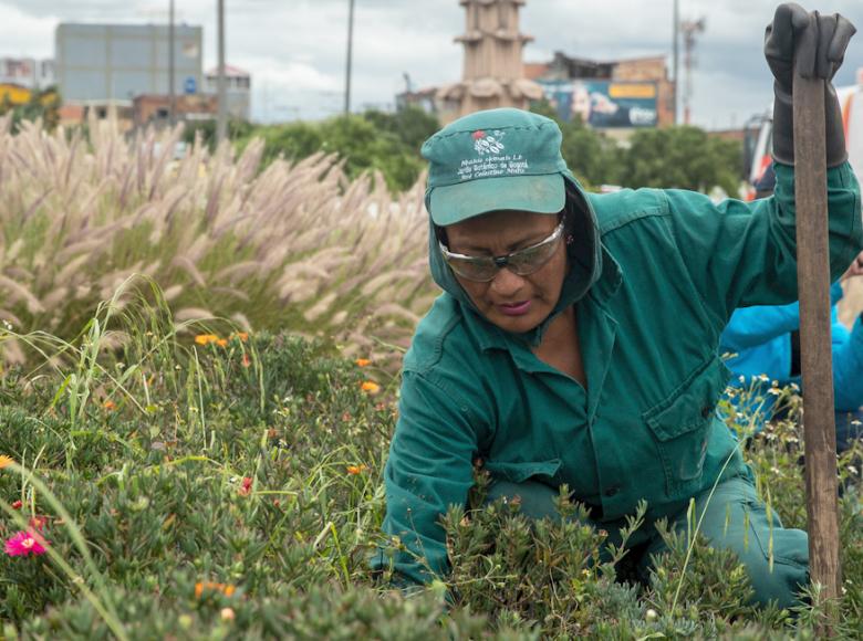 Un equipo del Jardín Botánico trabaja en las zonas verdes. El Clavel chino y Pennisetum son algunas de las especies que se encuentran plantadas allí - Foto: Alcaldía de Bogotá.