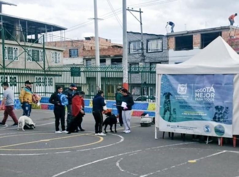 “Se han esterilizado a 255.000 animales en Bogotá”, asegura Catalina Rivera, directora encargada del Instituto Distrital de Protección y Bienestar Animal.