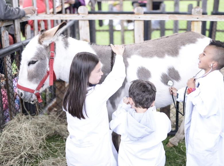 Los niños conocen de cerca animales en Finkana en el Parque Simón Bolívar - Foto: I.D.R.D.