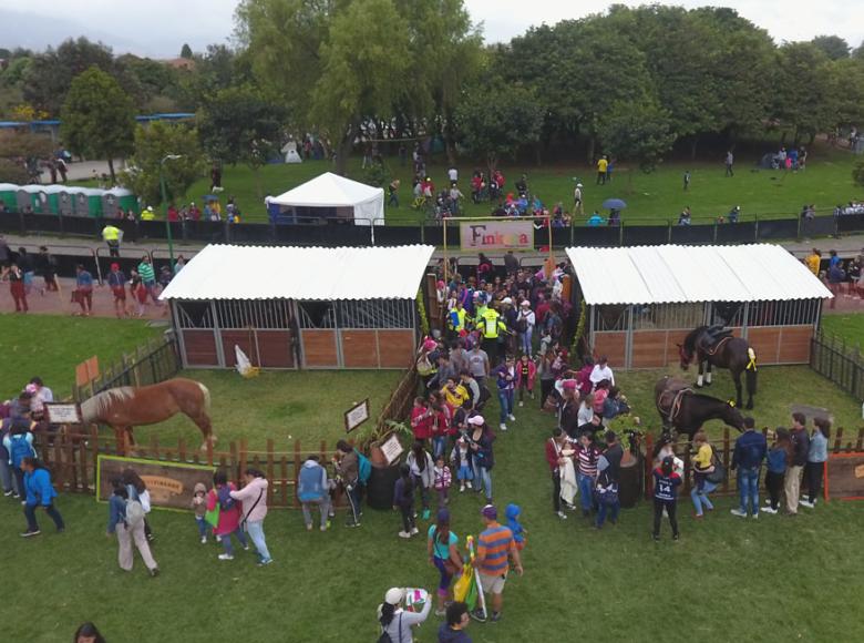 Familias enteras ya están disfrutando del Festival de Verano 2019 en el Parque simón Bolívar - Foto: I.D.R.D.