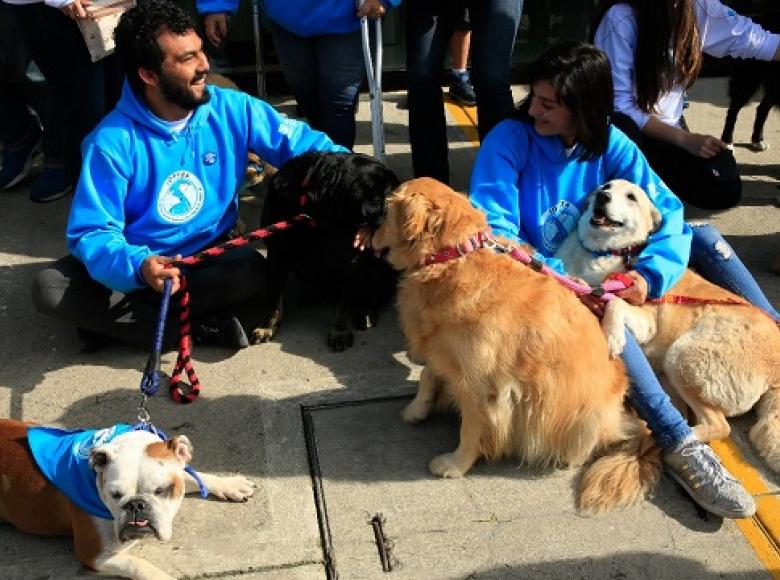 El galardón destaca a Enrique Peñalosa por crear a través de la Alcaldía de Bogotá, el primer Instituto Distrital de Protección y Bienestar Animal en el país.