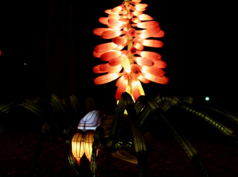 Una araña gigante y plantas en el Festival Brilla Colombia. - Foto: Jardín Botánico.