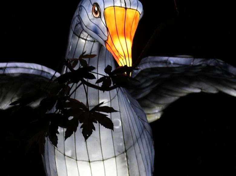 Una garza gigante iluminada del Festival Brilla Colombia. - Foto: Jardín Botánico.