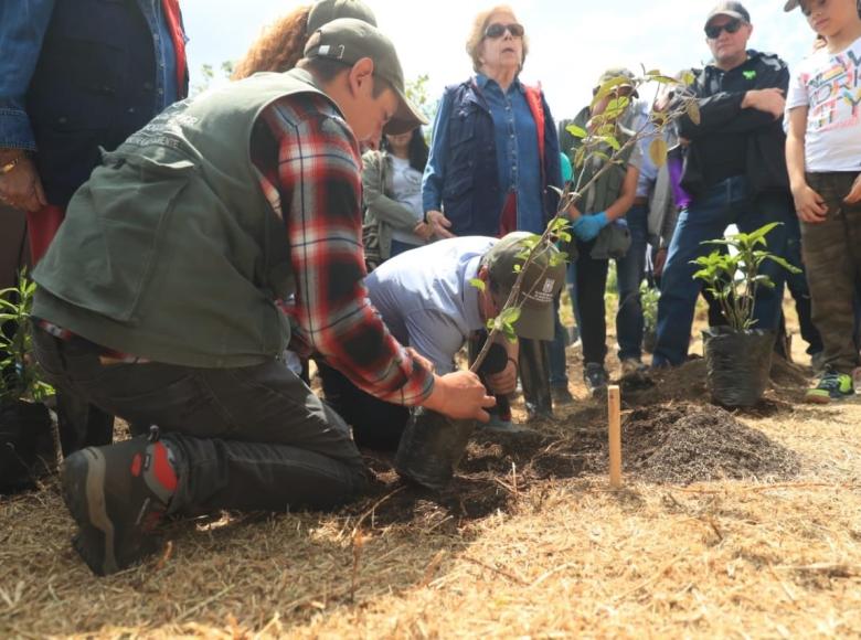 La Secretaría de Ambiente iniciará procesos de retroalimentación y construcción con colectivos ambientales.