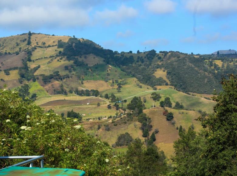 Sumapaz es un territorio ocho veces más grande que Medellín. Es un ecosistema vital para el planeta. #SumapazFlorece. 