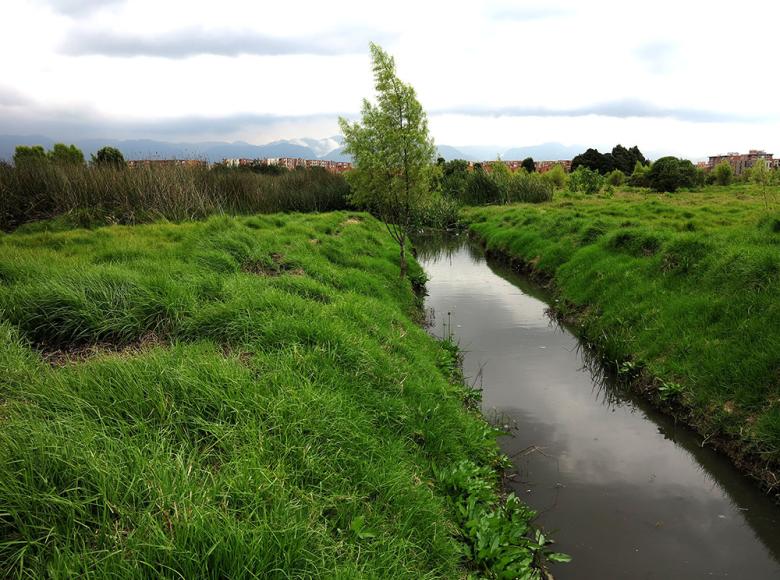 El humedal Capellanía aún cuenta con bellos espejos de agua que podemos ayudar a preservar.