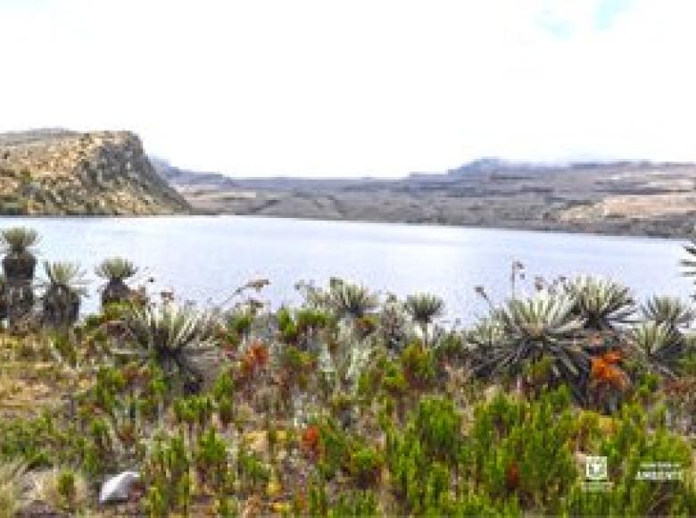 En el páramo de Sumapaz también hay espectaculares lagunas como la Negra, Los Colorados, Los Tunjos, Larga y Cajiitas.