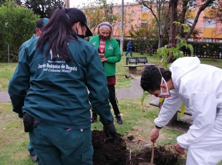 Especies como Guayacán de Manizales, Roble y Chicalá amarillo fueron sembrados en el sector de Suba.