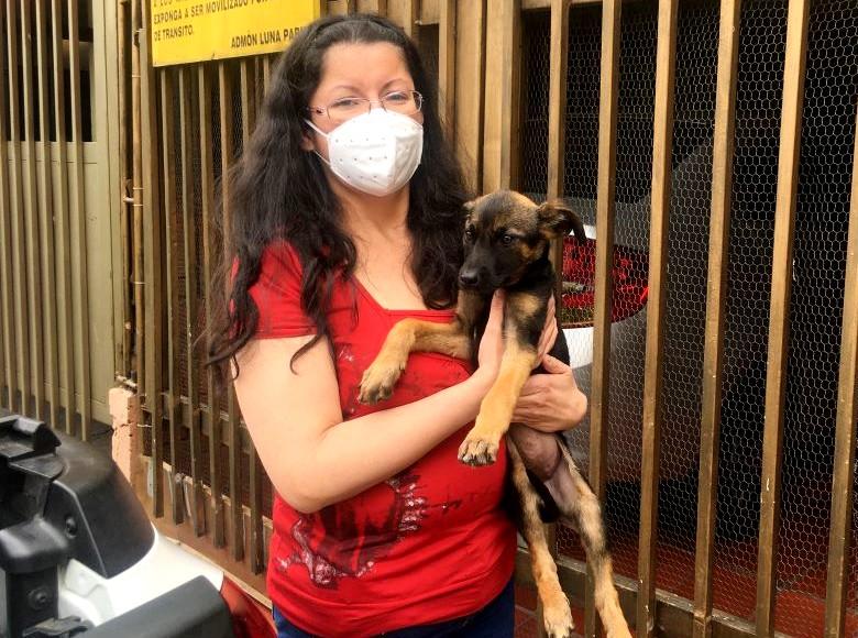 "Fue amor a primera vista", dijo María Eugenia Buitrago, ciudadana que adoptó a Benji, un cachorro criollo.