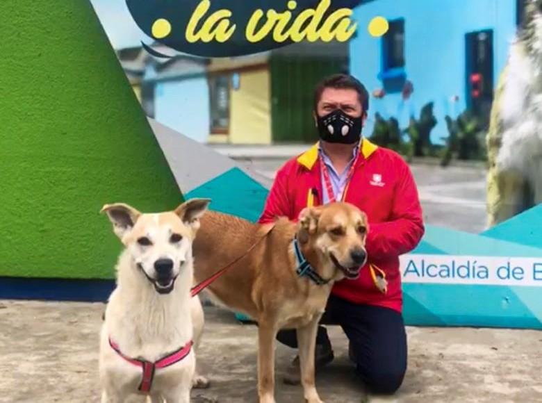 Germán Medellín no tuvo problema en adoptar por partida doble. Rosa e Inferatus son dos caninos inseparables.