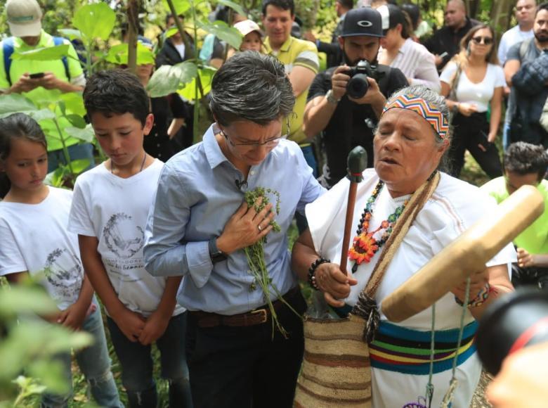 En enero de 2020, con plantación de de 95 árboles de especies nativas, se dio inicio a la restauración ecológica y protección de la Reserva Thomas van der Hammen. 