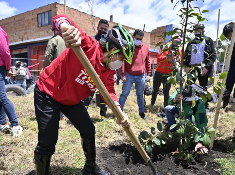 Alcaldesa Claudia López sembrando un árbol en su visita en el sector de Guadalupe. Foto: Alcaldía