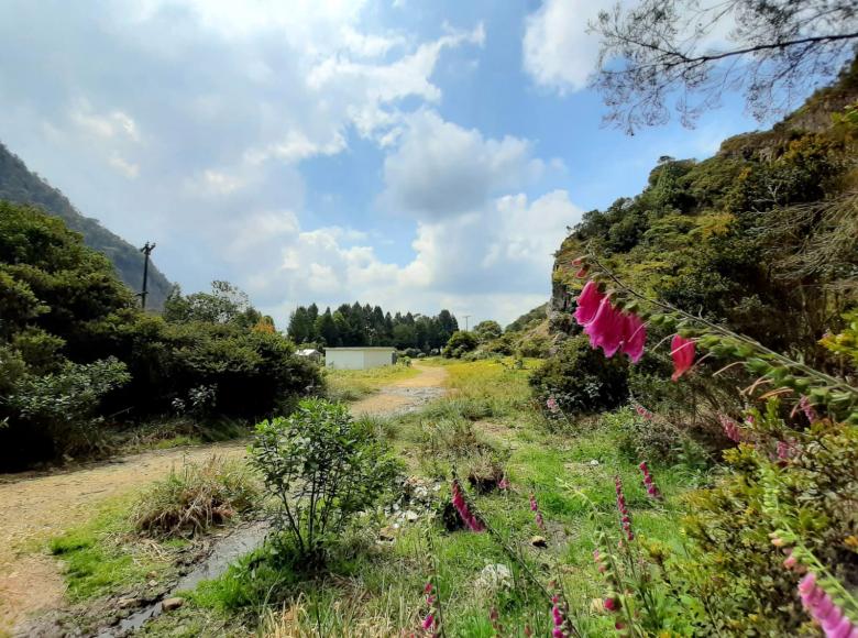 Serranía del Zuque