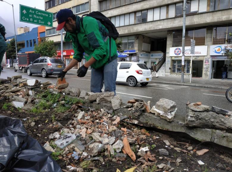 Así se veían las jardineras del separador de la avenida 19 entre la carrera 3 y la caracas, antes de la intervención del Jardín Botánico. 