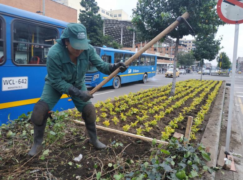 Con varios palos de madera, puntillas y una cabuya de color azul, los siete operarios expertos del Jardín Botánico le dieron forma a las jardineras.