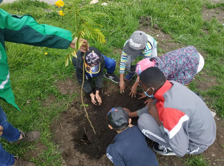 El Jardín Botánico y la comunidad plantaron 130 árboles y arbustos como parte de las intervenciones que se vienen realizando en diferentes puntos de la ciudad y en el marco de la celebración del Día Internacional de la Conservación del Suelo.