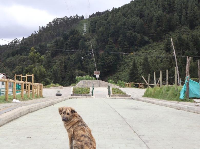 Ahora: ¡Impresionante la transformación de esta calle! Fue pavimentada y construida con andenes. Los habitantes ya no tienen que embarrase los zapatos y los carros no se deslizan cuando llueve. 