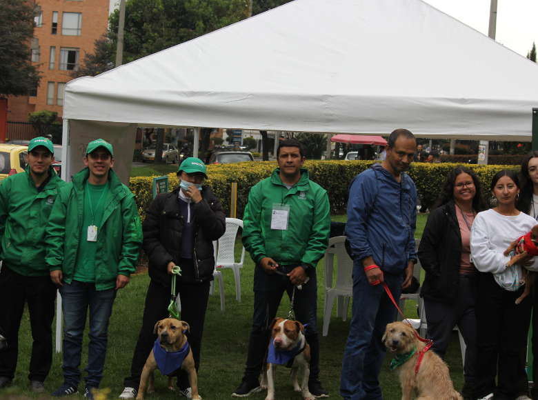 La Unidad de Cuidado Animal de Bogotá cuenta con un amplio proceso de atención y protección animal, desde los temas médicos hasta los temas comportamentales para ofrecer bienestar a los animales que llegan al centro. 