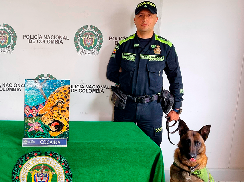 La Policía incautó 4 kilogramos de cocaína, camufladas en un cuadro. La mercancía tenía como destino Gravesend - Reino Unido.