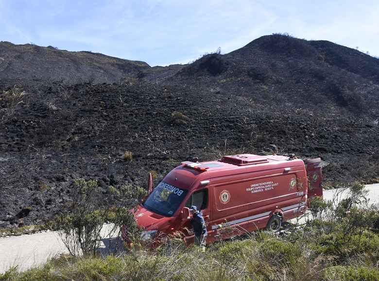 👨‍🚒 En la zona están desplegadas 80 unidades del Cuerpo Oficial de Bomberos Bogotá, La Calera, la Brigada Forestal de Cundinamarca, el Ejército Nacional y Ponalsar, quienes trabajan en el control del incendio. 