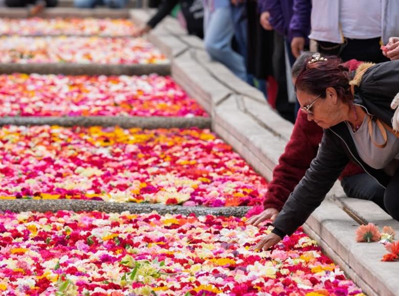 Cada flor es un símbolo de reconciliación, unión y esperanza. Un canto para el río Vicachá, origen de Bogotá.