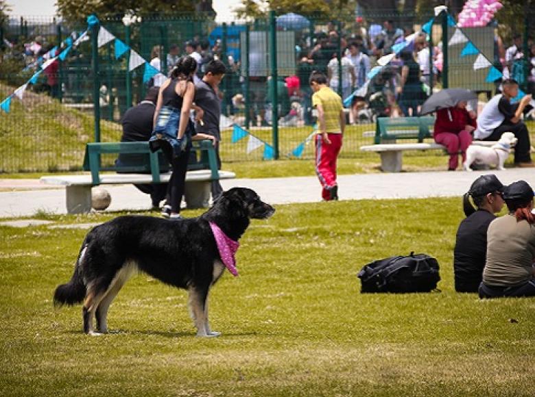 Primer parque para perros en Bogotá