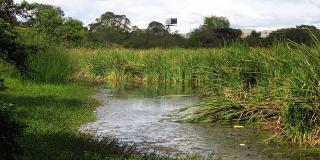 Humedal Santa María del Lago - Foto: Secretaría Distrital de Ambiente