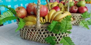 Alimentación saludable - Foto: Secretaría de Salud