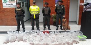 Incautan 1.300 tortugas - FOTO: Prensa Policía de Ambiente