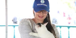 Gato en los brazos de un voluntario 