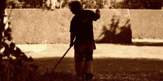 Mantenimiento parques - Foto: pixabay.com