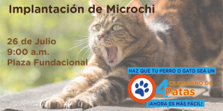 en-bosa-se-realizo-implantacion-de-microchip-en-animales-de-compania