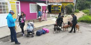 Funcionarios del Instituto Distrital de Protección y Bienestar Animal y voluntarios de Cerro Norte en Usaquén en la jornada de esterilización de animales callejeros - Foto: Archivo de Bogotá.