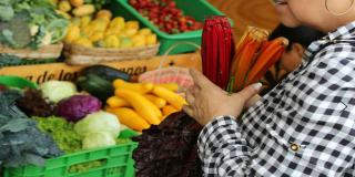 Mercado Campesino en la Plaza de Bolívar