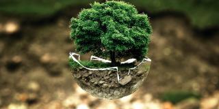 Consejo Local de Ambiente en Usaquén elige representantes 