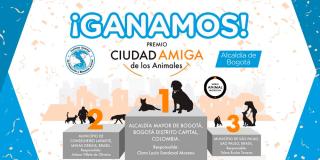Lanzamiento de la campaña 'Con los Animales no se hacen males'