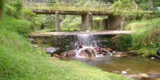 En Teusaquillo ven al Festival 'El Río Arzobispo, Vive Natural' 
