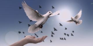 Conversatorio de comunidad LGBTI como constructores de paz en Bogotá 