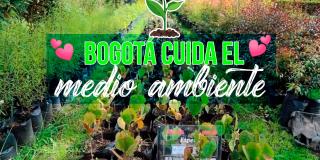 Imagen ilustrativa con texto que dice 'Bogotá cuida el medio ambiente'.